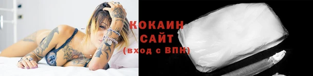 прущие крисы Кулебаки