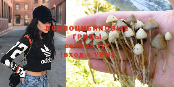 PSILOCYBIN Куйбышев