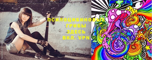 PSILOCYBIN Куйбышев